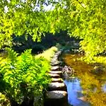 La Casa Del Bosque Del Agua Y Prexigueiro Obsequio Entrada Por Persona A Circuito Termal Dom wakacyjny Mondariz