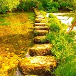 La Casa Del Bosque Del Agua Y Prexigueiro Obsequio Entrada Por Persona A Circuito Termal