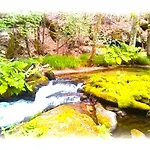 La Casa Del Bosque Del Agua Y Prexigueiro Obsequio Entrada Por Persona A Circuito Termal *