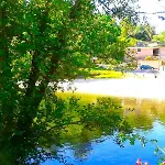 Дом отдыха La Casa Del Bosque Del Agua Y Prexigueiro Obsequio Entrada Por Persona A Circuito Termal *