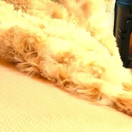 La Casa Del Bosque Del Agua Y Prexigueiro Obsequio Entrada Por Persona A Circuito Termal Mondariz