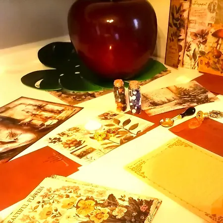 La Casa Del Bosque Del Agua Y Prexigueiro Obsequio Entrada Por Persona A Circuito Termal * Mondariz