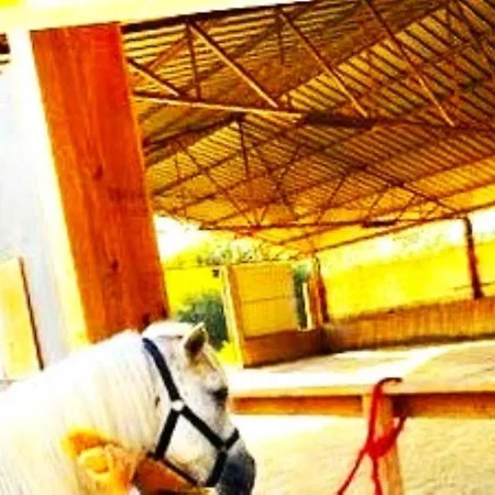 La Casa Del Bosque Del Agua Y Prexigueiro Obsequio Entrada Por Persona A Circuito Termal