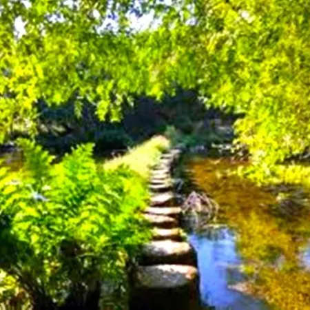 La Casa Del Bosque Del Agua Y Prexigueiro Obsequio Entrada Por Persona A Circuito Termal 펜션 몬다리즈