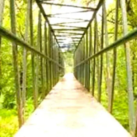 La Casa Del Bosque Del Agua Y Prexigueiro Obsequio Entrada Por Persona A Circuito Termal Hébergement de vacances Mondariz