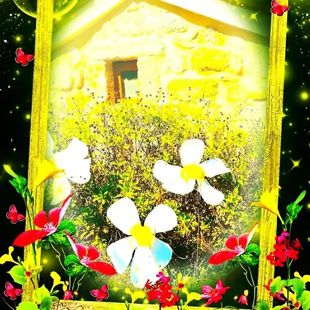 La Casa Del Bosque Del Agua Y Prexigueiro Obsequio Entrada Por Persona A Circuito Termal