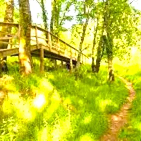 Prázdninový dům La Casa Del Bosque Del Agua Y Prexigueiro Obsequio Entrada Por Persona A Circuito Termal Mondariz