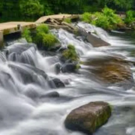 펜션 La Casa Del Bosque Del Agua Y Prexigueiro Obsequio Entrada Por Persona A Circuito Termal