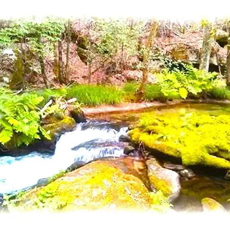 La Casa Del Bosque Del Agua Y Prexigueiro Obsequio Entrada Por Persona A Circuito Termal *