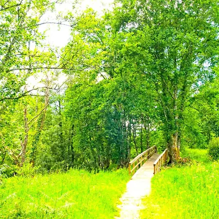 펜션 La Casa Del Bosque Del Agua Y Prexigueiro Obsequio Entrada Por Persona A Circuito Termal 몬다리즈